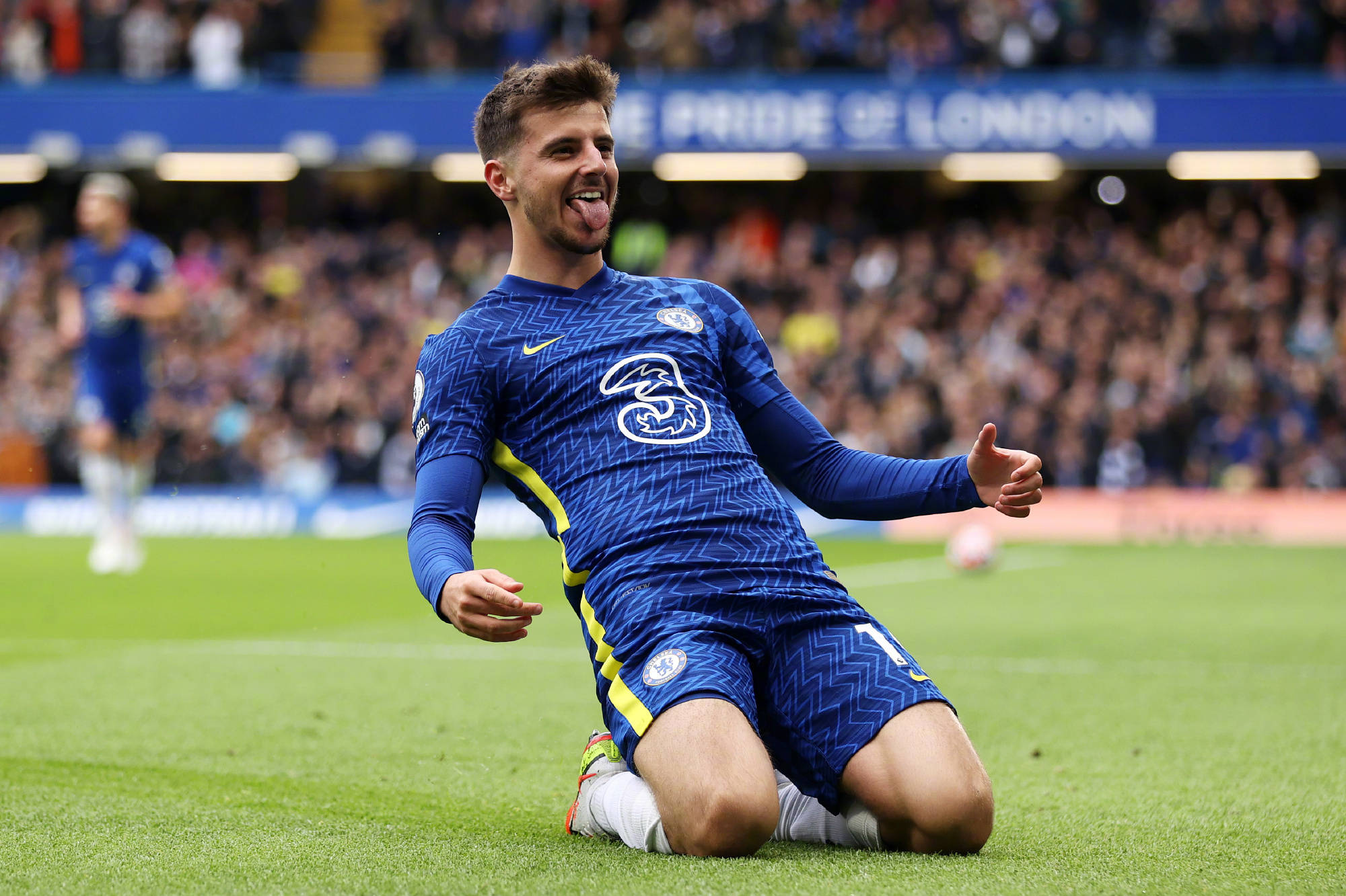 赋的结晶 赋的结晶